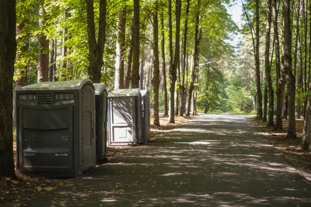 Best Luxury portable toilet rental  in Mineral Point, WI